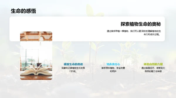 植物生长的秘密