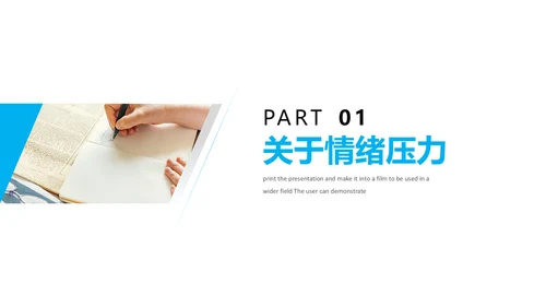 公司员工压力与情绪培训PPT课件