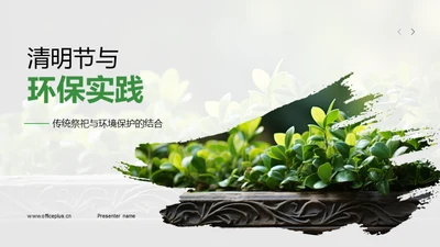 清明节与环保实践