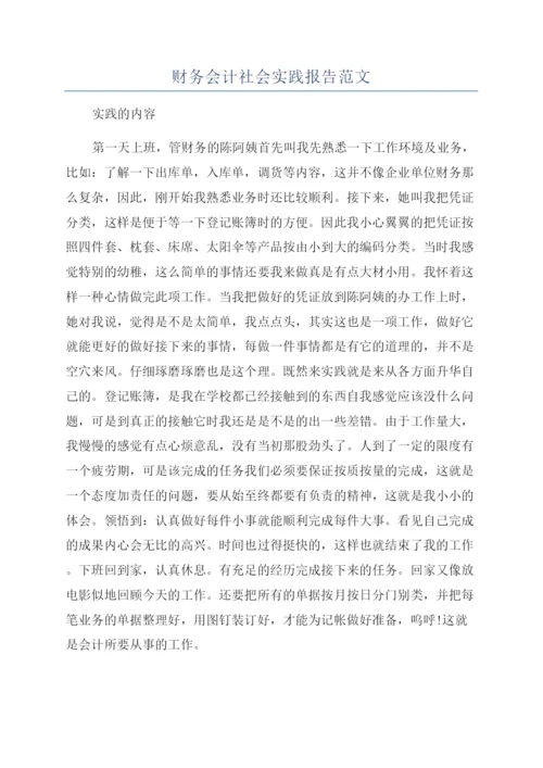 财务会计社会实践报告范文.docx