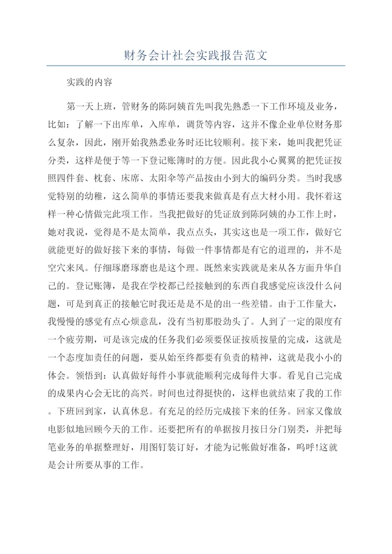 财务会计社会实践报告范文.docx