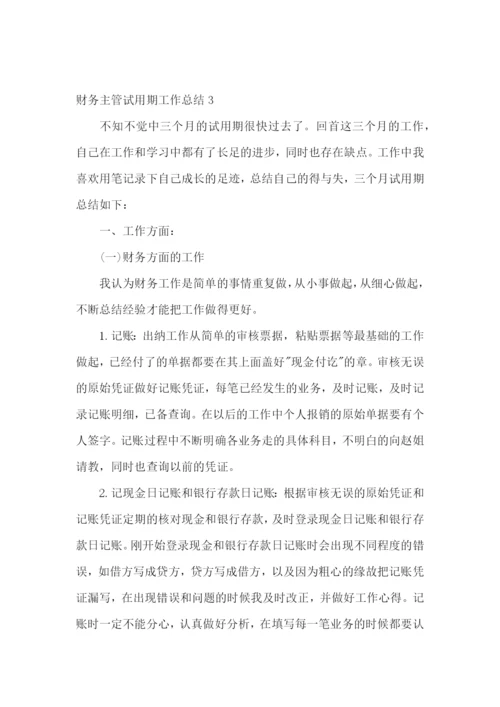 财务主管试用期工作总结.docx