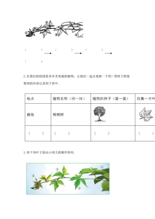 教科版科学一年级上册第一单元《植物》测试卷附参考答案（能力提升）.docx