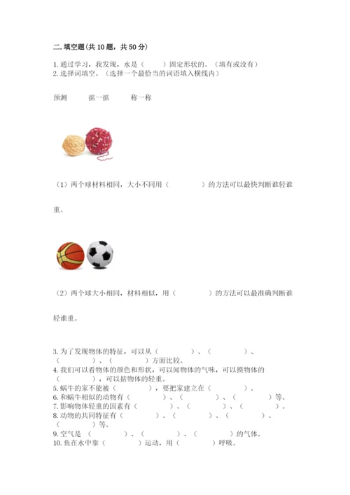 教科版一年级下册科学期末测试卷（满分必刷）.docx