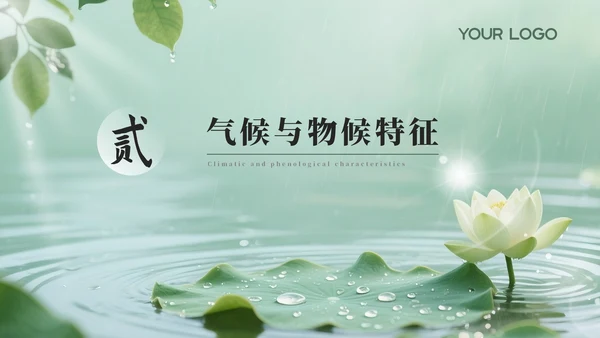 绿色夏至节气介绍通用PPT模板