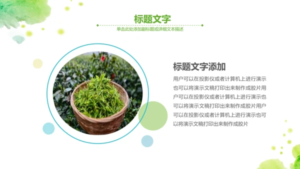 绿茶红茶茶叶茶厂茶文化茶道春茶PPT模板