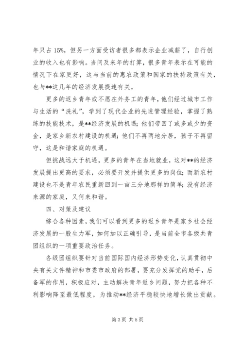 外出务工返乡青年情况调研报告 (7).docx