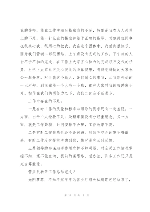 营业员转正工作总结范文.docx