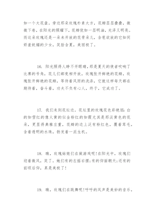 描写玫瑰花的唯美经典句子.docx