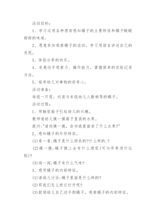 小班教案_303.docx
