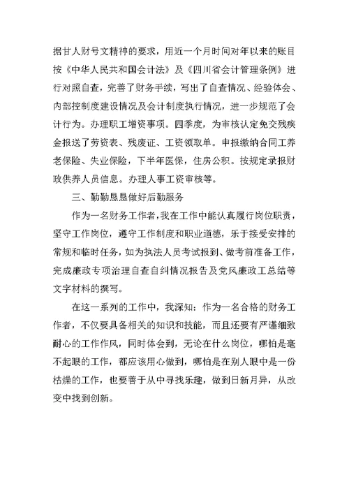 20XX会计年度考核个人工作总结