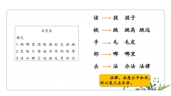 统编版语文二年级上册期中复习字词   课件