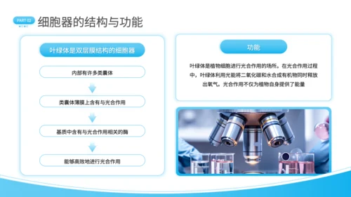 蓝色简约风细胞结构探秘PPT