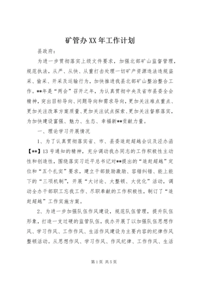 矿管办XX年工作计划.docx