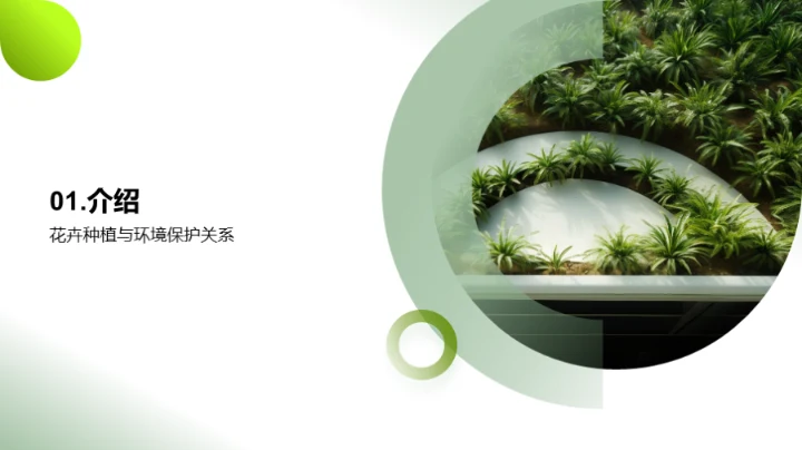 环保之花：可持续种植