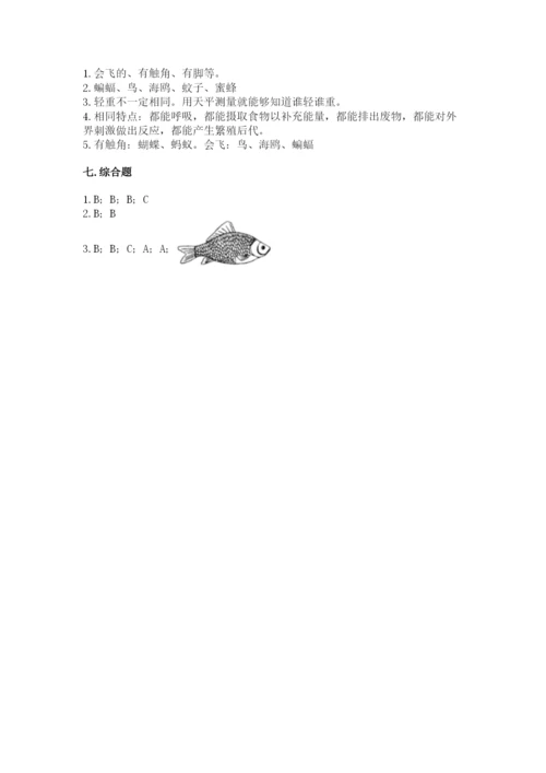 教科版小学科学一年级下册期末测试卷含完整答案【易错题】.docx