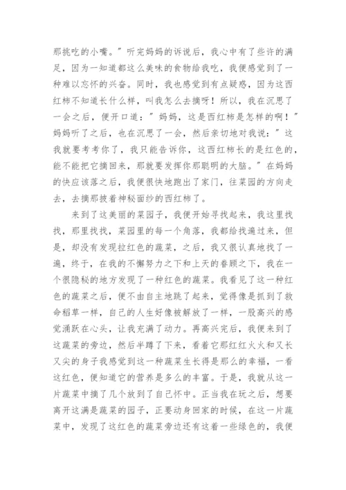 西红柿的故事作文.docx