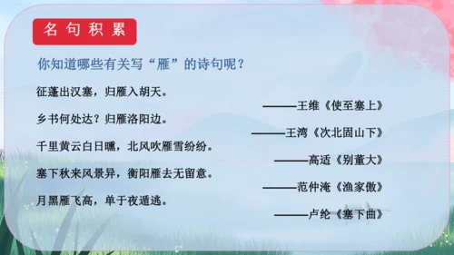 19《大雁归来》课件