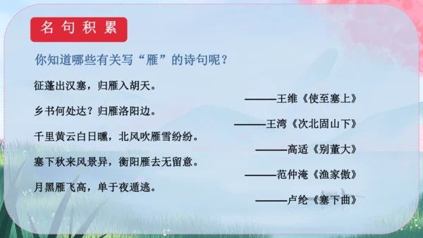 19《大雁归来》课件