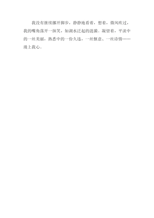 熟悉的地方也有风景作文.docx