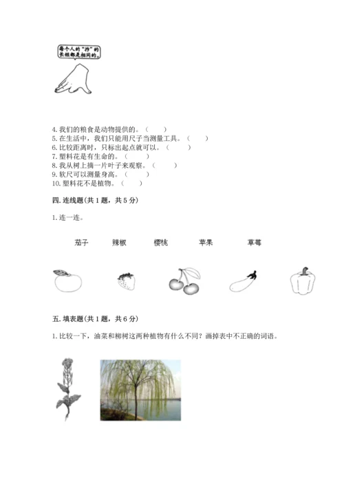 教科版一年级上册科学期末测试卷1套.docx