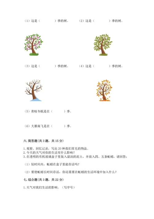 教科版二年级上册科学期末测试卷（全优）word版.docx