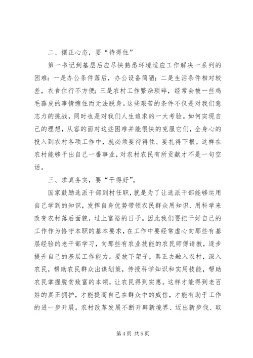 学习第一书记心得体会精编.docx