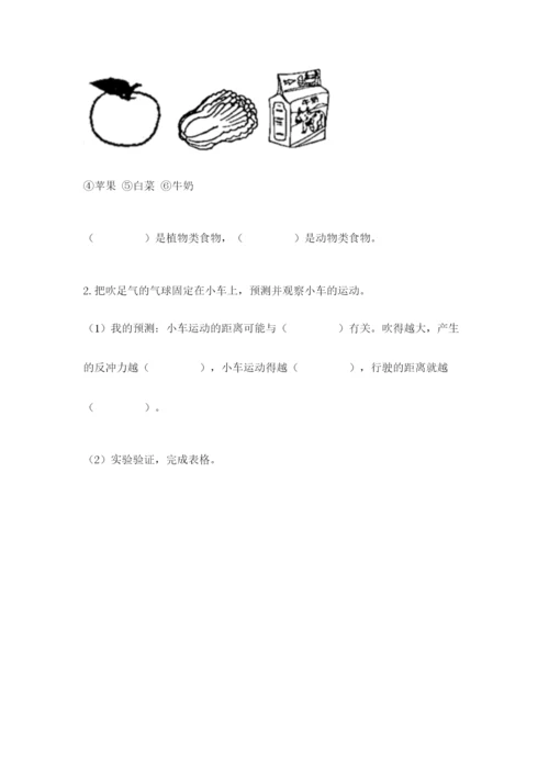 教科版四年级上册科学 期末测试卷及答案（最新）.docx