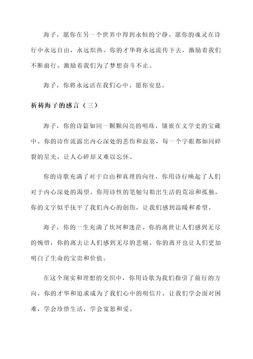 祈祷海子的感言