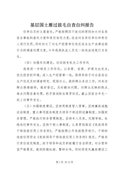 基层国土雁过拔毛自查自纠报告.docx