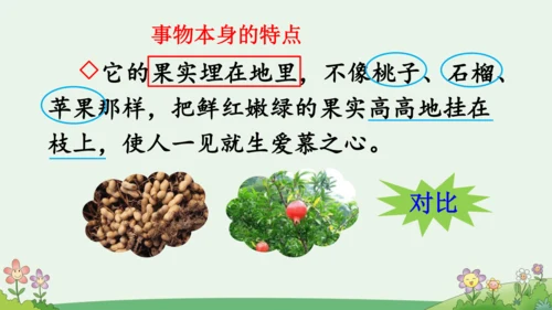 语文园地一【优质版】