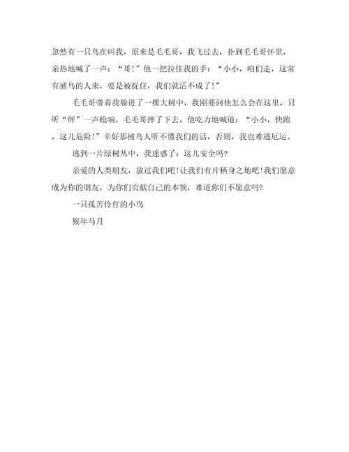 小鸟写给人类的一封信想象作文