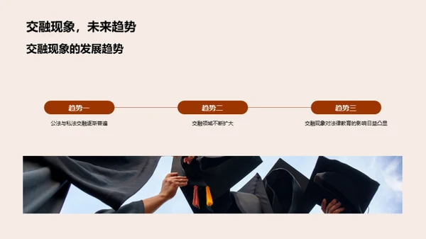 公私法交融透析