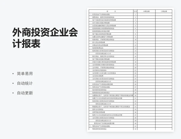 外商投资企业会计报表