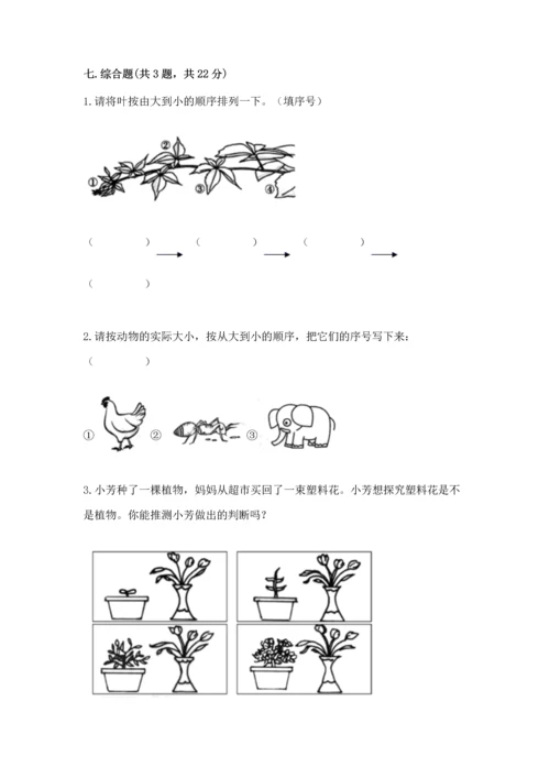 教科版科学一年级上册期末测试卷附答案（实用）.docx