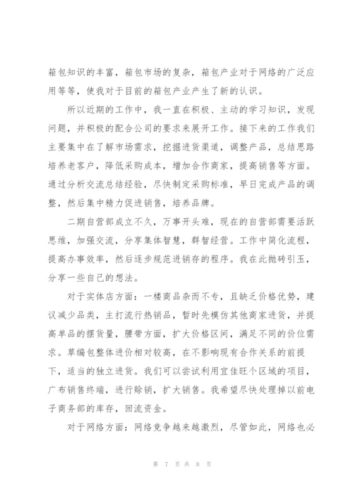 销售人员试用期个人总结范文.docx