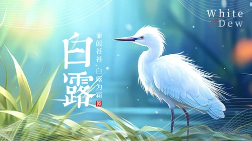 美丽的梦幻传统节气白露PPT模板