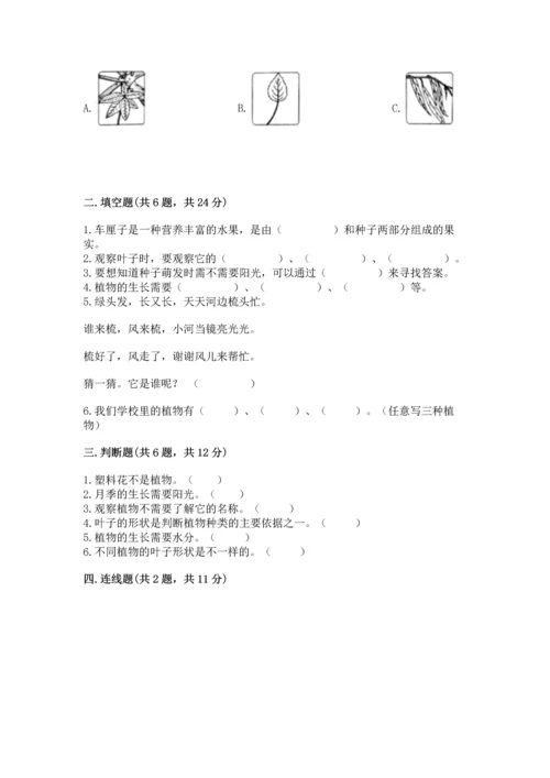 教科版科学一年级上册第一单元《植物》测试卷精品及答案.docx
