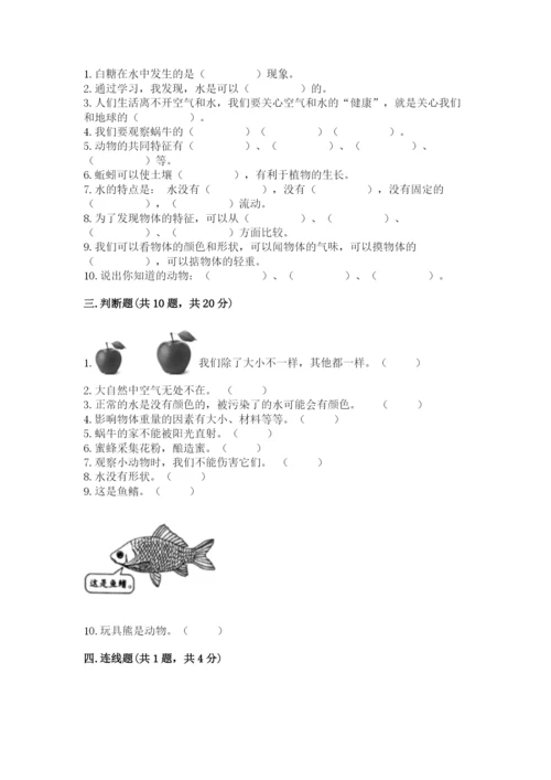 教科版一年级下册科学期末测试卷【综合卷】.docx