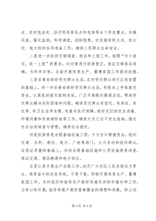 县抗洪救灾灾情汇报材料(精品).docx