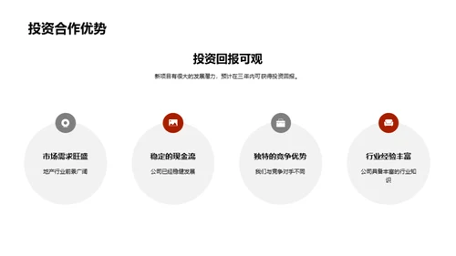 新项目投资展望