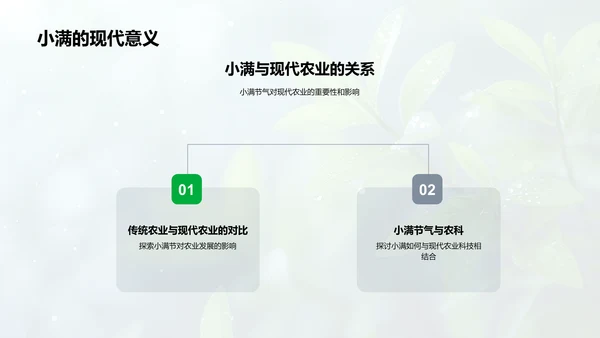 小满节气文化解析PPT模板