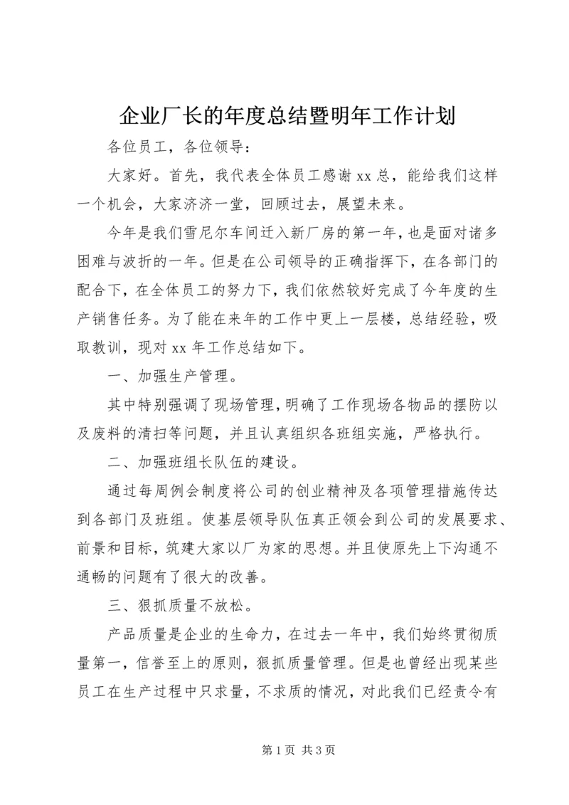 企业厂长的年度总结暨明年工作计划.docx