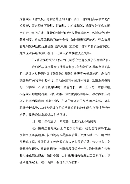 统计员个人工作总结