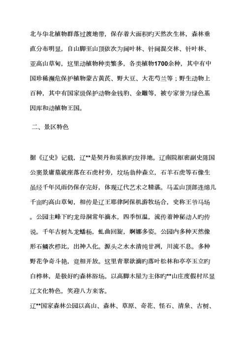 景区广告促销专题方案.docx
