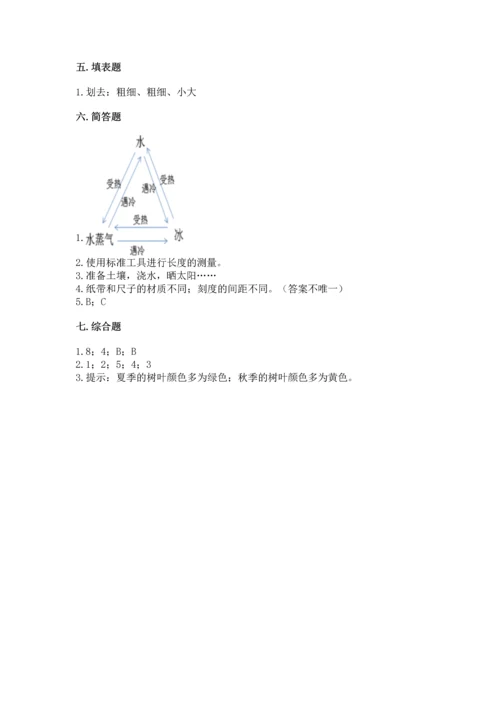 教科版一年级上册科学期末测试卷【b卷】.docx