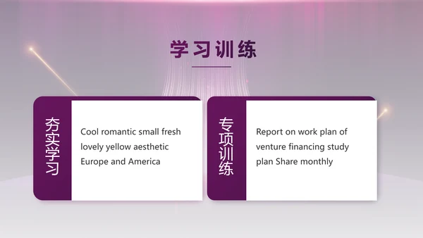 紫色公司品牌发布会策划方案工作总结PPT