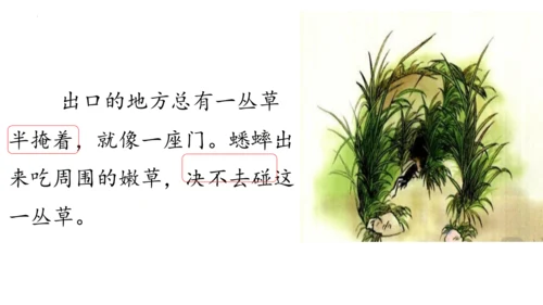11 蟋蟀的住宅（课件）