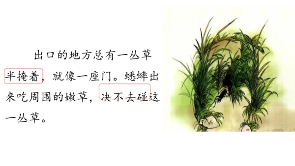 11 蟋蟀的住宅（课件）