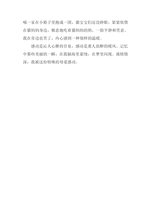 不一样的感动作文1000字.docx